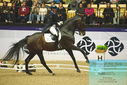 Filename=PT9_4169.JPG
Filesize=459KiB
Dimensions=1224x817
Date added=Oct 23, 2023 PT9_4169.JPG