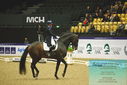 Filename=PT9_4181.JPG
Filesize=443KiB
Dimensions=1224x817
Date added=Oct 23, 2023 PT9_4181.JPG