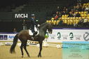 Filename=PT9_4182.JPG
Filesize=441KiB
Dimensions=1224x817
Date added=Oct 23, 2023 PT9_4182.JPG
