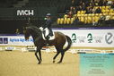Filename=PT9_4183.JPG
Filesize=485KiB
Dimensions=1224x817
Date added=Oct 23, 2023 PT9_4183.JPG