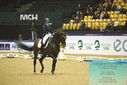 Filename=PT9_4185.JPG
Filesize=485KiB
Dimensions=1224x817
Date added=Oct 23, 2023 PT9_4185.JPG