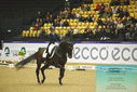 Filename=PT9_4186.JPG
Filesize=492KiB
Dimensions=1224x817
Date added=Oct 23, 2023 PT9_4186.JPG