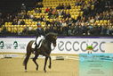 Filename=PT9_4187.JPG
Filesize=512KiB
Dimensions=1224x817
Date added=Oct 23, 2023 PT9_4187.JPG
