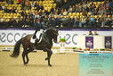 Filename=PT9_4188.JPG
Filesize=530KiB
Dimensions=1224x817
Date added=Oct 23, 2023 PT9_4188.JPG