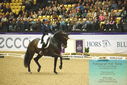 Filename=PT9_4189.JPG
Filesize=551KiB
Dimensions=1224x817
Date added=Oct 23, 2023 PT9_4189.JPG