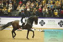 Filename=PT9_4194.JPG
Filesize=543KiB
Dimensions=1224x817
Date added=Oct 23, 2023 PT9_4194.JPG