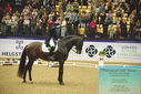 Filename=PT9_4196.JPG
Filesize=559KiB
Dimensions=1224x817
Date added=Oct 23, 2023 PT9_4196.JPG