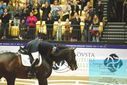 Filename=PT9_4198.JPG
Filesize=431KiB
Dimensions=1224x817
Date added=Oct 23, 2023 PT9_4198.JPG