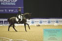 Filename=PT9_4209.JPG
Filesize=418KiB
Dimensions=1224x817
Date added=Oct 23, 2023 PT9_4209.JPG