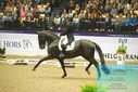 Filename=PT9_4217.JPG
Filesize=504KiB
Dimensions=1224x817
Date added=Oct 23, 2023 PT9_4217.JPG