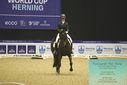 Filename=PT9_4219.JPG
Filesize=427KiB
Dimensions=1224x817
Date added=Oct 23, 2023 PT9_4219.JPG