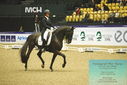 Filename=PT9_4220.JPG
Filesize=482KiB
Dimensions=1224x817
Date added=Oct 23, 2023 PT9_4220.JPG