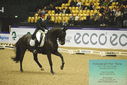 Filename=PT9_4228.JPG
Filesize=468KiB
Dimensions=1224x817
Date added=Oct 23, 2023 PT9_4228.JPG