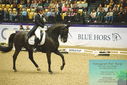 Filename=PT9_4231.JPG
Filesize=496KiB
Dimensions=1224x817
Date added=Oct 23, 2023 PT9_4231.JPG