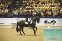 Filename=PT9_4233.JPG
Filesize=587KiB
Dimensions=1224x817
Date added=Oct 23, 2023 PT9_4233.JPG