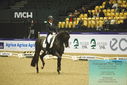 Filename=PT9_4236.JPG
Filesize=466KiB
Dimensions=1224x817
Date added=Oct 23, 2023 PT9_4236.JPG