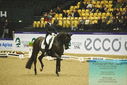 Filename=PT9_4237.JPG
Filesize=467KiB
Dimensions=1224x817
Date added=Oct 23, 2023 PT9_4237.JPG