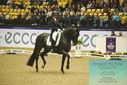 Filename=PT9_4239.JPG
Filesize=498KiB
Dimensions=1224x817
Date added=Oct 23, 2023 PT9_4239.JPG