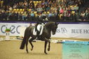 Filename=PT9_4241.JPG
Filesize=499KiB
Dimensions=1224x817
Date added=Oct 23, 2023 PT9_4241.JPG