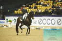 Filename=PT9_4277.JPG
Filesize=468KiB
Dimensions=1224x817
Date added=Oct 23, 2023 PT9_4277.JPG