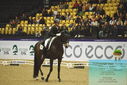 Filename=PT9_4278.JPG
Filesize=461KiB
Dimensions=1224x817
Date added=Oct 23, 2023 PT9_4278.JPG