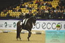 Filename=PT9_4279.JPG
Filesize=464KiB
Dimensions=1224x817
Date added=Oct 23, 2023 PT9_4279.JPG