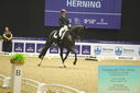 Filename=PT9_4295.JPG
Filesize=445KiB
Dimensions=1224x817
Date added=Oct 23, 2023 PT9_4295.JPG
