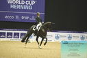 Filename=PT9_4296.JPG
Filesize=442KiB
Dimensions=1224x817
Date added=Oct 23, 2023 PT9_4296.JPG