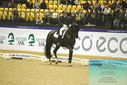 Filename=PT9_4300.JPG
Filesize=484KiB
Dimensions=1224x817
Date added=Oct 23, 2023 PT9_4300.JPG