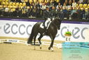 Filename=PT9_4303.JPG
Filesize=480KiB
Dimensions=1224x817
Date added=Oct 23, 2023 PT9_4303.JPG