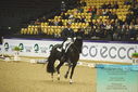Filename=PT9_4313.JPG
Filesize=518KiB
Dimensions=1224x817
Date added=Oct 23, 2023 PT9_4313.JPG