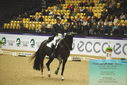 Filename=PT9_4314.JPG
Filesize=506KiB
Dimensions=1224x817
Date added=Oct 23, 2023 PT9_4314.JPG