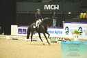 Filename=PT9_4315.JPG
Filesize=439KiB
Dimensions=1224x817
Date added=Oct 23, 2023 PT9_4315.JPG