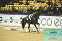 Filename=PT9_4317.JPG
Filesize=478KiB
Dimensions=1224x817
Date added=Oct 23, 2023 PT9_4317.JPG