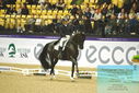 Filename=PT9_4318.JPG
Filesize=485KiB
Dimensions=1224x817
Date added=Oct 23, 2023 PT9_4318.JPG