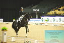 Filename=PT9_4323.JPG
Filesize=489KiB
Dimensions=1224x817
Date added=Oct 23, 2023 PT9_4323.JPG