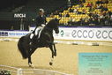 Filename=PT9_4324.JPG
Filesize=485KiB
Dimensions=1224x817
Date added=Oct 23, 2023 PT9_4324.JPG