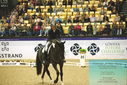 Filename=PT9_4332.JPG
Filesize=540KiB
Dimensions=1224x817
Date added=Oct 23, 2023 PT9_4332.JPG