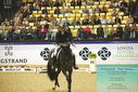 Filename=PT9_4333.JPG
Filesize=558KiB
Dimensions=1224x817
Date added=Oct 23, 2023 PT9_4333.JPG