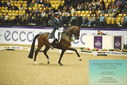 Filename=PT9_4337.JPG
Filesize=534KiB
Dimensions=1224x817
Date added=Oct 23, 2023 PT9_4337.JPG