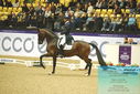 Filename=PT9_4340.JPG
Filesize=478KiB
Dimensions=1224x817
Date added=Oct 23, 2023 PT9_4340.JPG