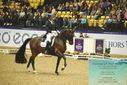 Filename=PT9_4351.JPG
Filesize=528KiB
Dimensions=1224x817
Date added=Oct 23, 2023 PT9_4351.JPG