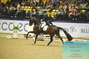 Filename=PT9_4354.JPG
Filesize=480KiB
Dimensions=1224x817
Date added=Oct 23, 2023 PT9_4354.JPG