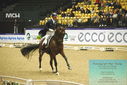 Filename=PT9_4356.JPG
Filesize=526KiB
Dimensions=1224x817
Date added=Oct 23, 2023 PT9_4356.JPG