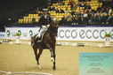 Filename=PT9_4357.JPG
Filesize=517KiB
Dimensions=1224x817
Date added=Oct 23, 2023 PT9_4357.JPG