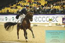 Filename=PT9_4358.JPG
Filesize=522KiB
Dimensions=1224x817
Date added=Oct 23, 2023 PT9_4358.JPG