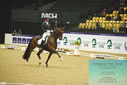 Filename=PT9_4359.JPG
Filesize=470KiB
Dimensions=1224x817
Date added=Oct 23, 2023 PT9_4359.JPG