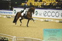 Filename=PT9_4360.JPG
Filesize=496KiB
Dimensions=1224x817
Date added=Oct 23, 2023 PT9_4360.JPG