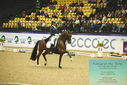 Filename=PT9_4361.JPG
Filesize=536KiB
Dimensions=1224x817
Date added=Oct 23, 2023 PT9_4361.JPG