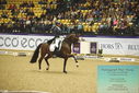 Filename=PT9_4362.JPG
Filesize=565KiB
Dimensions=1224x817
Date added=Oct 23, 2023 PT9_4362.JPG